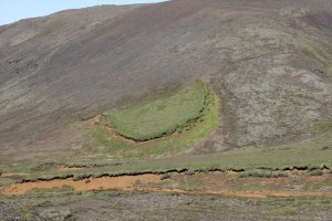 Island of vegetation and soil on western flanks of Eyjafjallajökull in 2019