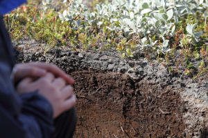 Eyjafjallajökull 2010 in 2011