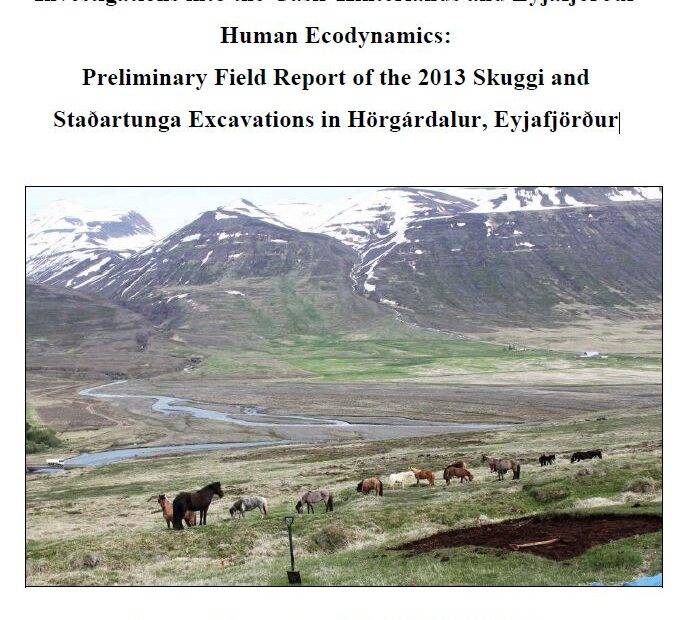 Skuggi Staðartunga 2013 Report