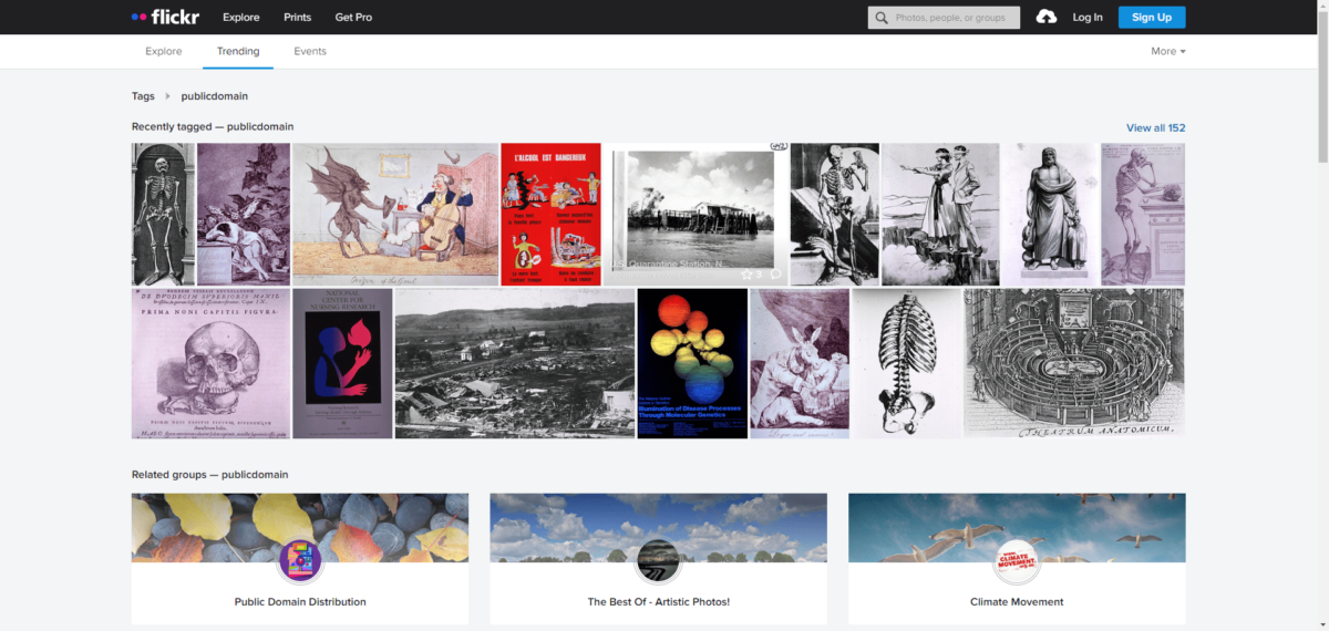 Screenshot of searching for public domain images on Flickr