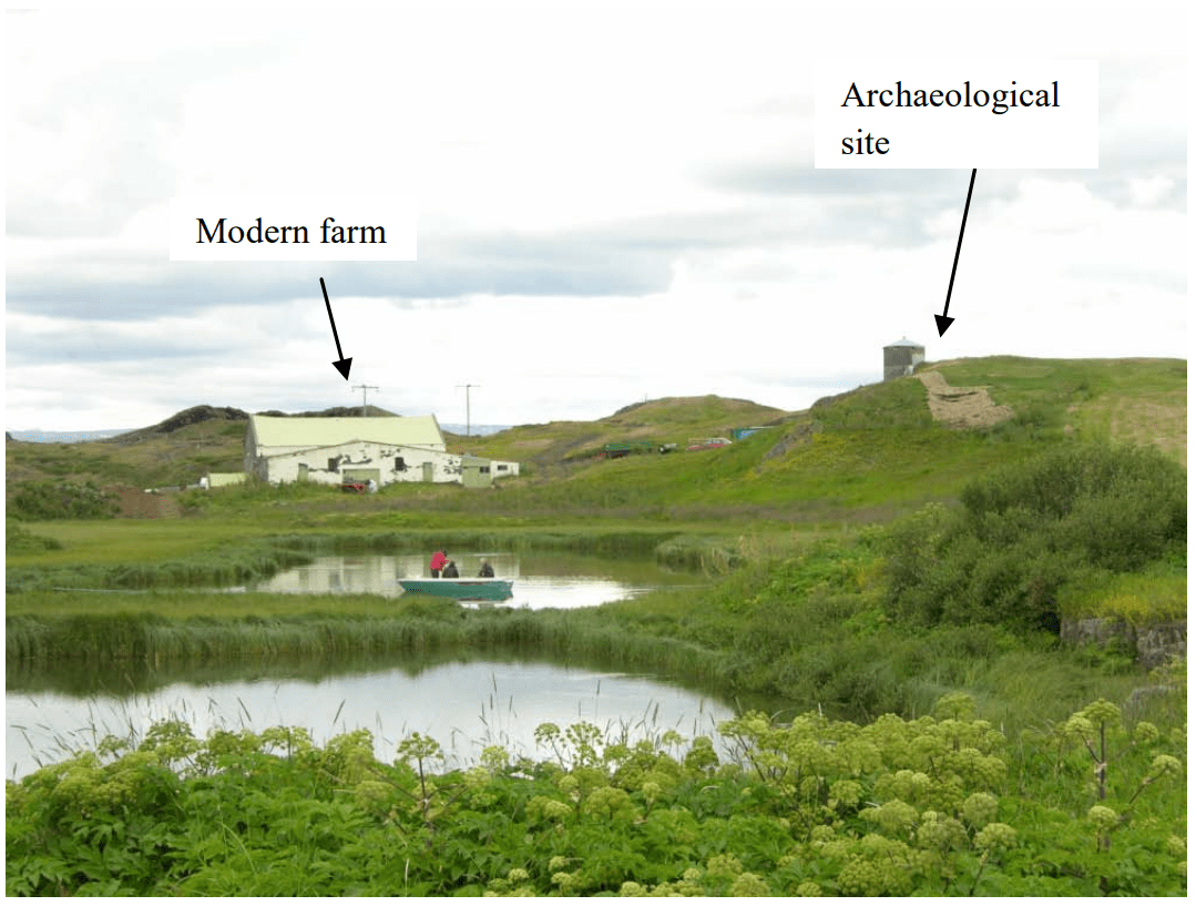 Norse Utilisation of Archaeobotanical Resources within the Myvatnssveit locale, Northern Iceland (2012)