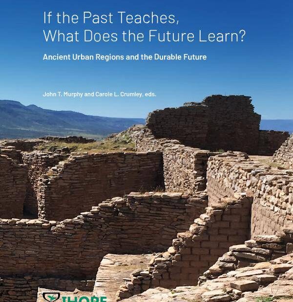 Book cover: If the Past Teaches, What Does the Future Learn?
