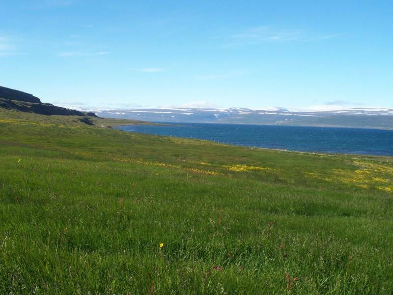 Formation, cultural use and management of Icelandic wet meadows – a palaeoenvironmental interpretation (2016)