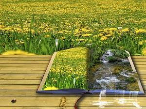 Fantasy drawing of a picture book in a flower field