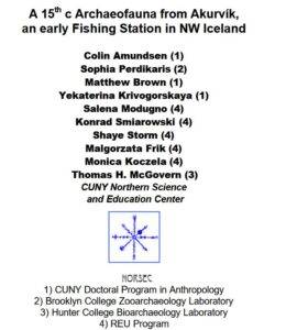 Akurvík 2004 report