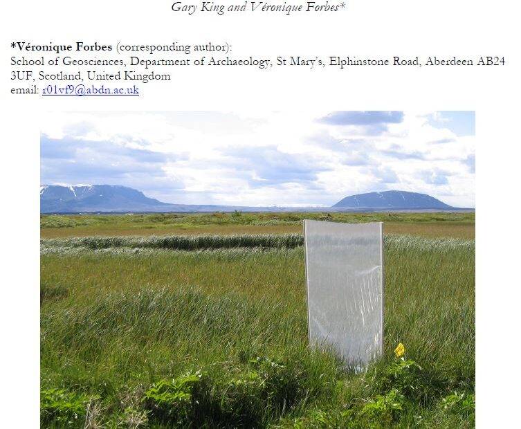 Archaeoentomological investigations Skútustaðir 2008