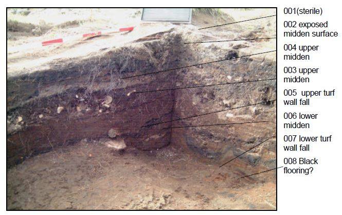 Preliminary Report of Animal Bones from Hrísheimur, Mývatn District, Northern Iceland