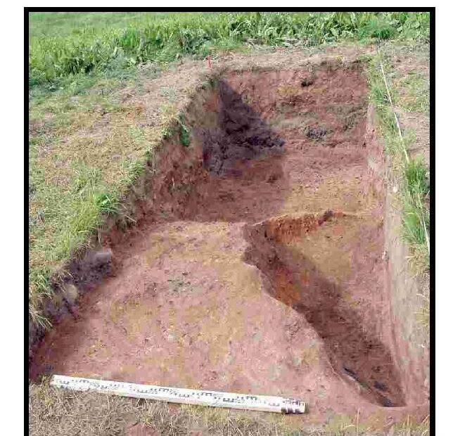 Möðruvellir 2006 Midden Report