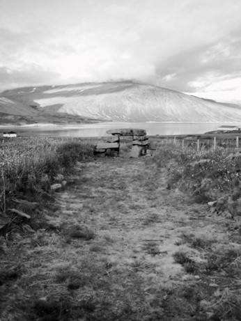 Natural experimental approach to vulnerability, resilience and adaptation in historic Greenland (2020)