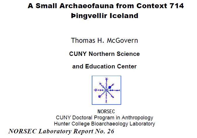 Þingvellir 2006 Report