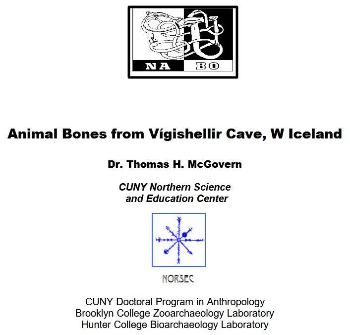 Animal Bones from Vígishellir Cave report