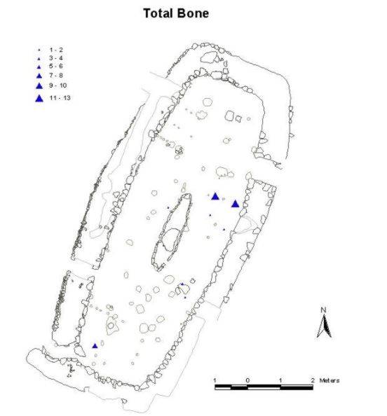 Plan of bone finds at Aðalstræti 14-16