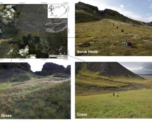 Environmental controls on tephra layer morphology (2023)