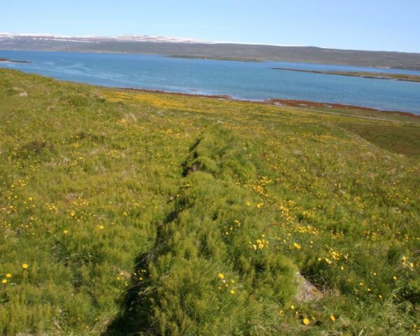 Photograph of wall at Vatnsfjorður.