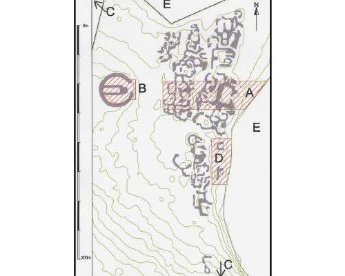 Interim Report of Animal Bones from the 2002 Excavations at Gásir, Eyjafjörður, N Iceland