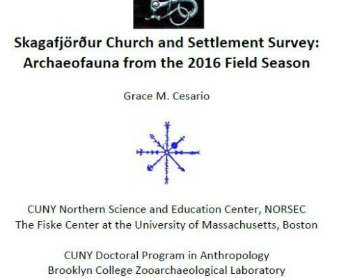 Skagafjörður Church and Settlement Survey: Archaeofauna from the 2016 Field Season
