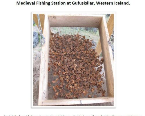The Final Report on the Archaeofauna from Context 147 at the Medieval Fishing Station at Gufuskálar, Western Iceland.