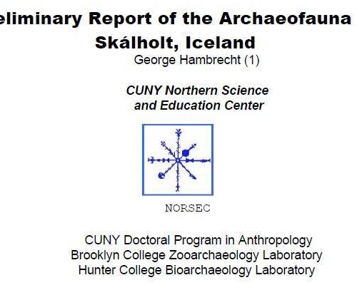 Preliminary Report of the Archaeofauna at Skálholt, Iceland