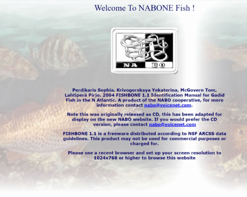 FISHBONE 1.1 Identification Manual for Gadid Fish in the N Atlantic