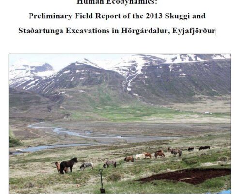 Preliminary Field Report of the 2013 Skuggi and Staðartunga Excavations