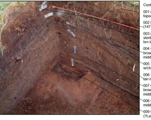 Report of Animal Bones from Selhagi, Mývatn District, Northern Iceland