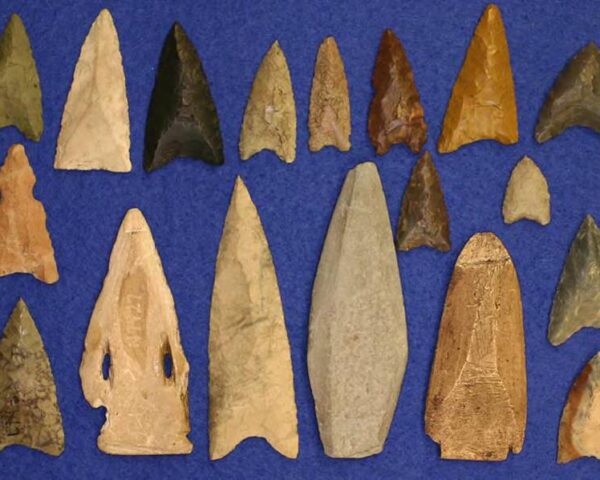 Photograph of endblades from Cape Ray Light (CjBt-01)