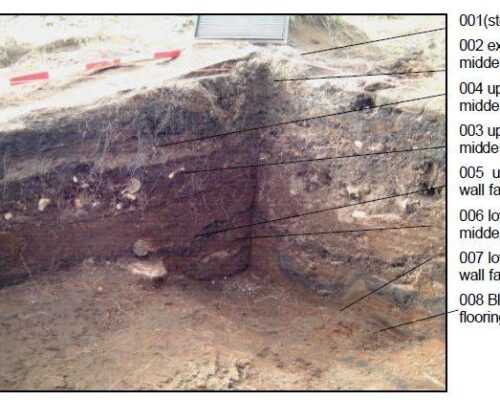 Preliminary Report of Animal Bones from Hrísheimur, Mývatn District, Northern Iceland